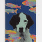Dog with colorful fish on a blue background