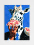 Giraffe eating a piece of pizza held by a hand against a blue background